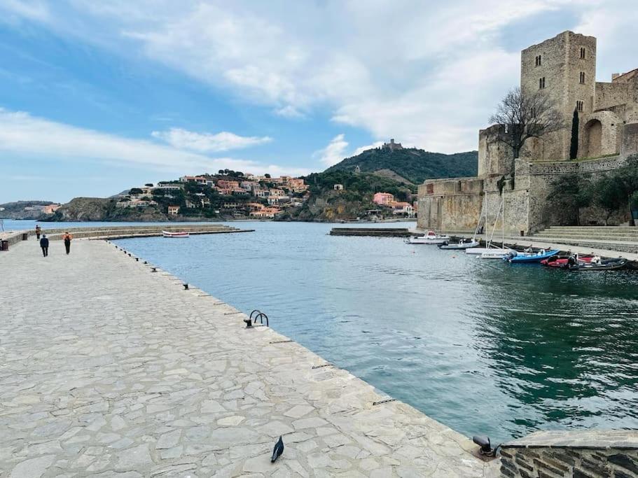 Aux Vents Du Sud *